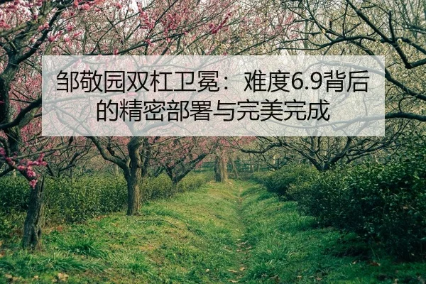 zou-jing-yuan-shuang-gang-wei-mian-nan-du-bei-hou-de-jing-mi-bu-shu-yu-wan-mei-wan-cheng-2-653.jpg
