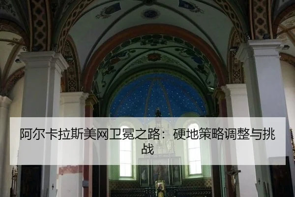 a-er-ka-la-si-mei-wang-wei-mian-zhi-lu-ying-di-ce-lve-tiao-zheng-yu-tiao-zhan-3-924.jpg