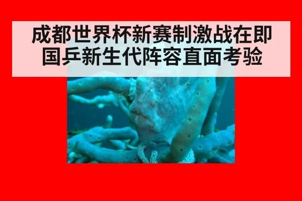 成都世界杯新赛制激战在即 国乒新生代阵容直面考验